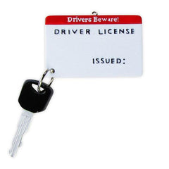 Driver's License Personalized Christmas Ornament